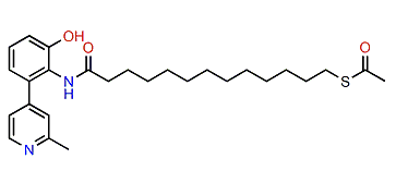 Echinoclathrine B